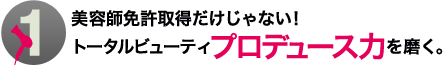 1.美容師免許取得だけじゃない!トータルビューティプロデュース力を磨く。