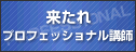 �V�K�u�t�̗p�̂��ē�