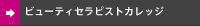 �r���[�e�B�[�Z���s�X�g�J���b�W