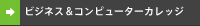 �r�W�l�X���R���s���[�^�J���b�W