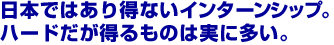日本ではあり得ないインターンシップ。ハードだが得るものは実に多い。