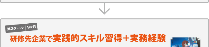 第2クール　9カ月　研修先企業で実践的スキル習得＋実務経験