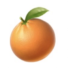 オレンジ.jpg