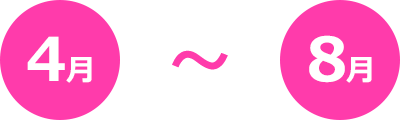 4月～8月