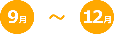 9月～12月