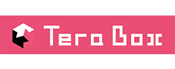 株式会社TeraBox