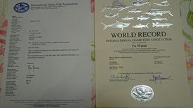 ≪世界記録認定!!≫　卒業生の釣ったウツボが世界記録認定!!