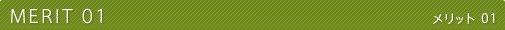 MERIT01