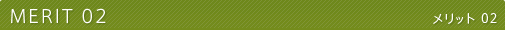 MERIT02