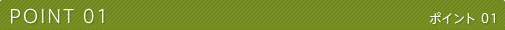 POINT01