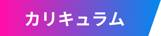 カリキュラム