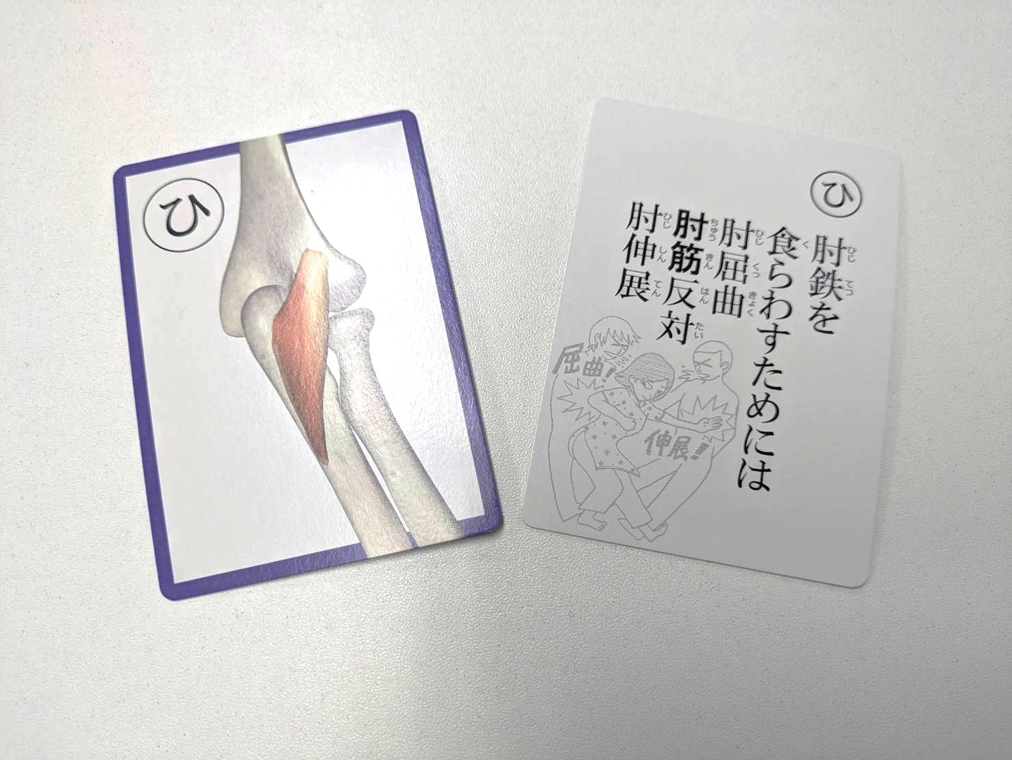 【東京校】奪い取れ！！筋肉かるた！！